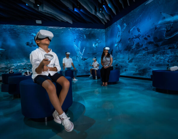 Image of a boy using virtual reality in an innovative program designed by Talents UAE